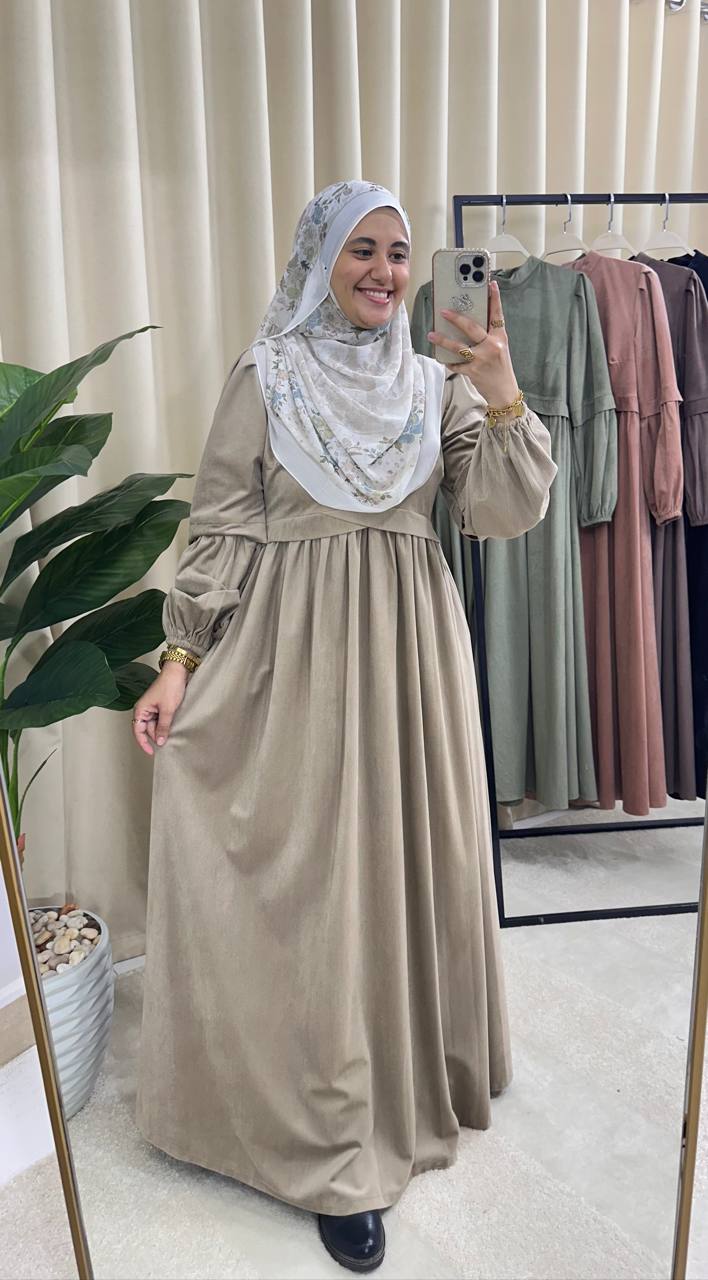 Ruya Velvet Dress