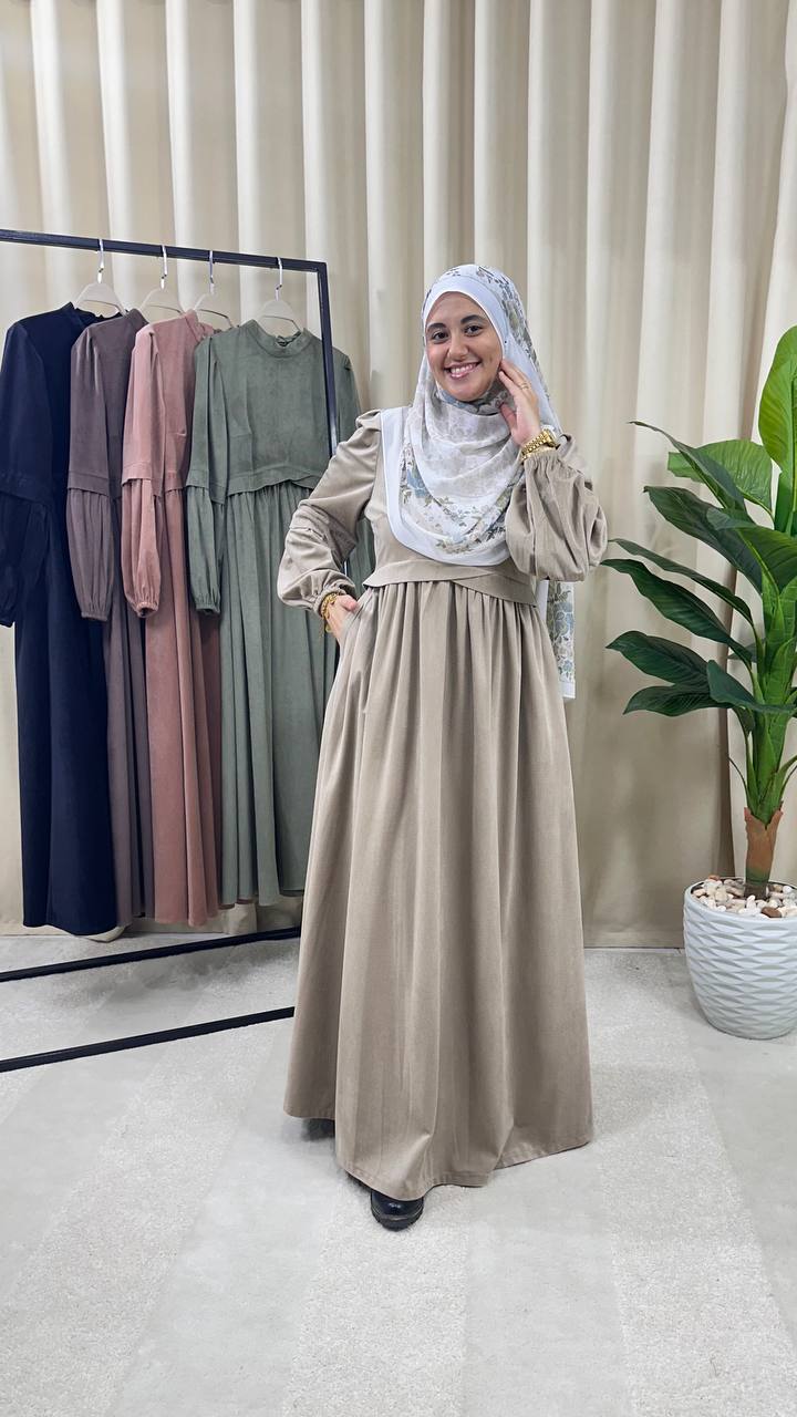 Ruya Velvet Dress