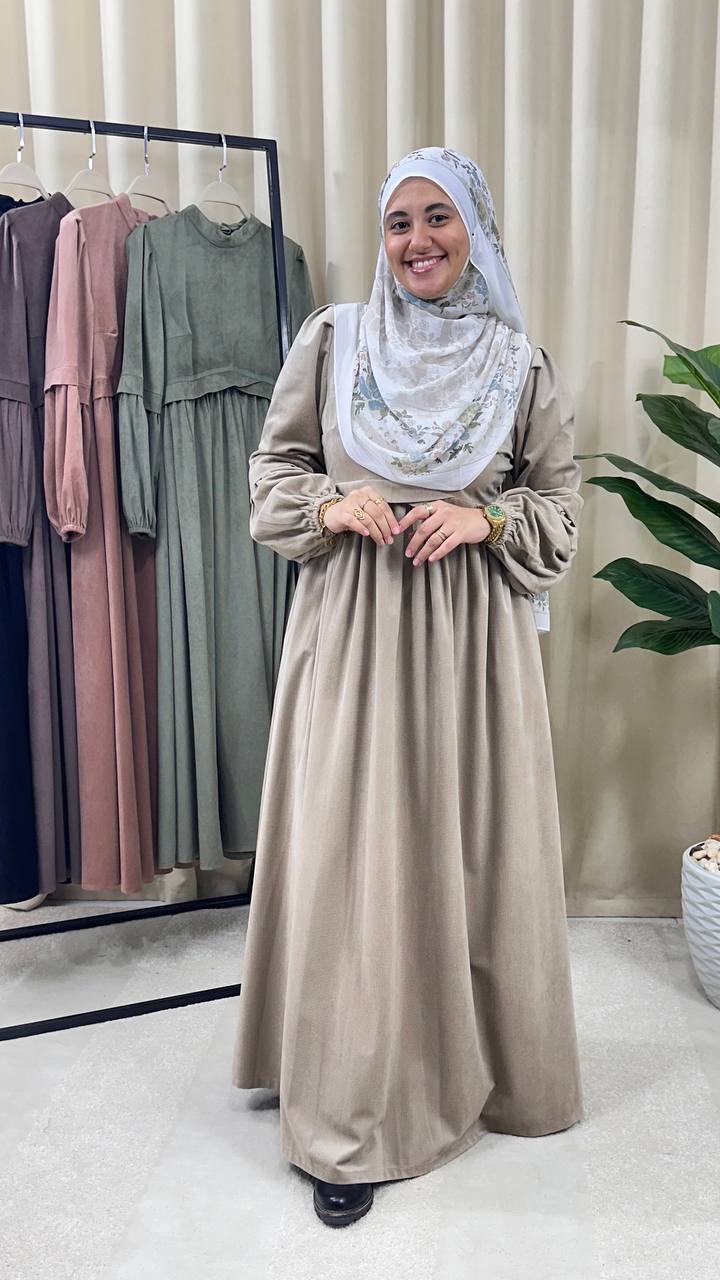 Ruya Velvet Dress