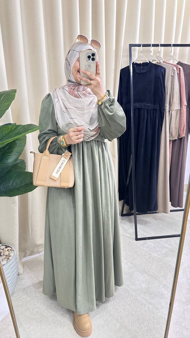 Ruya Velvet Dress