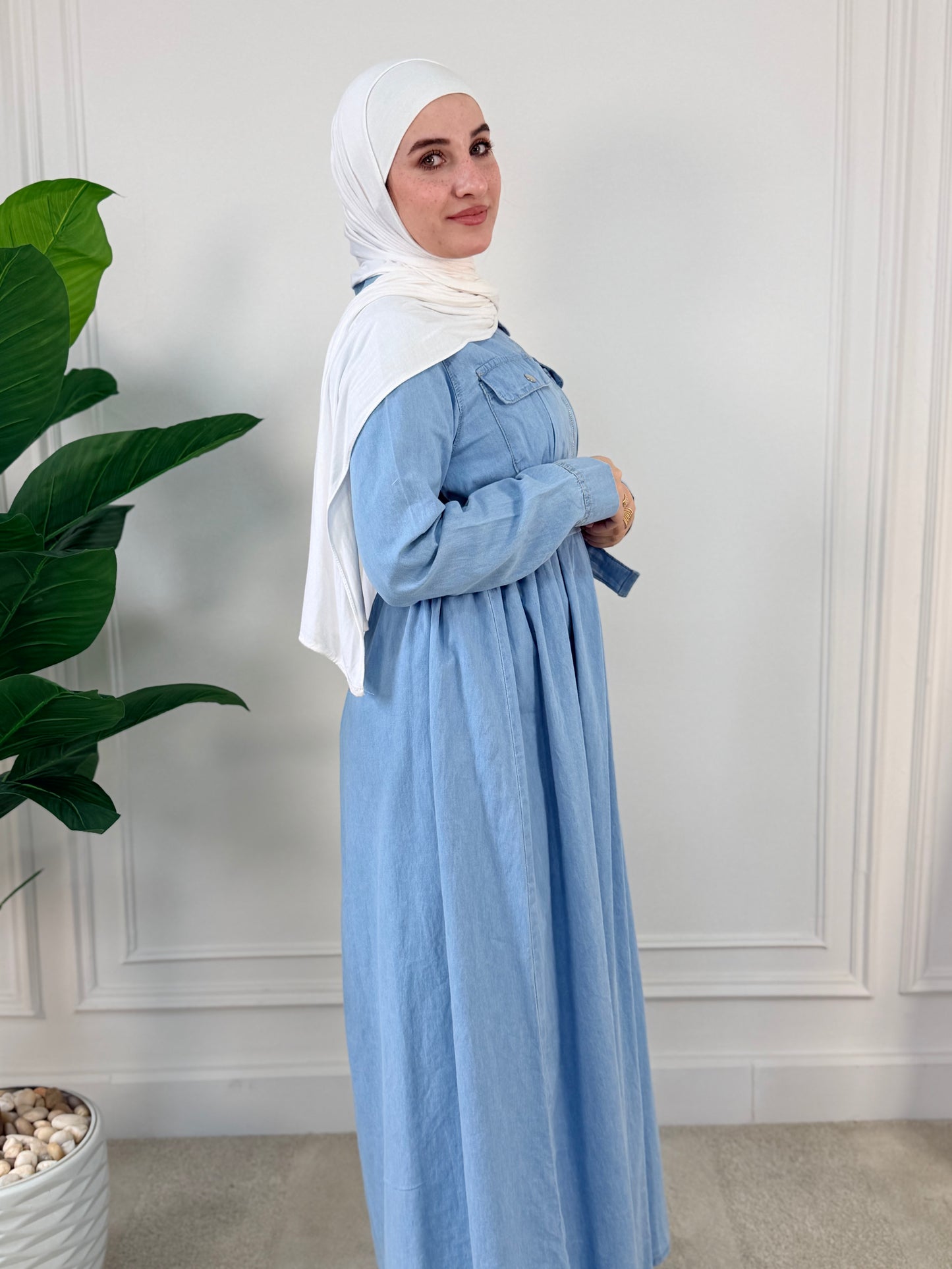 Sky Light Denim Dress with Zipper