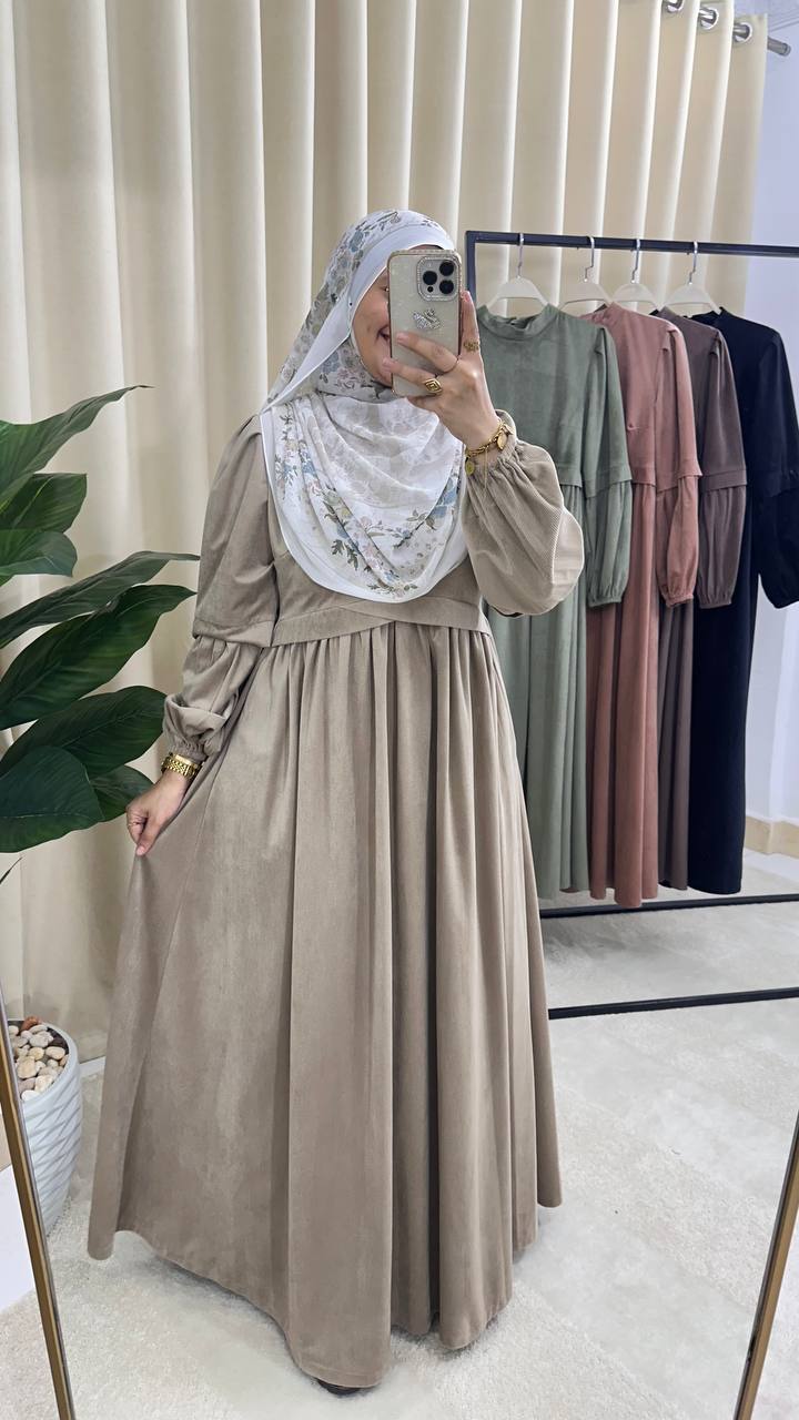 Ruya Velvet Dress