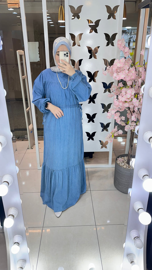 Elvee Denim Dress
