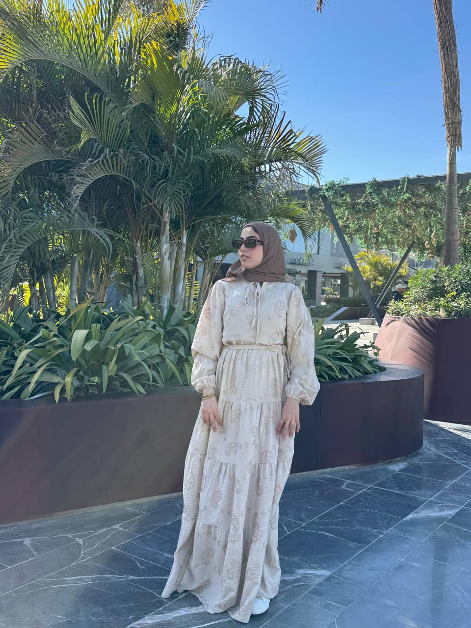 Jacqurad Embroidered Dress