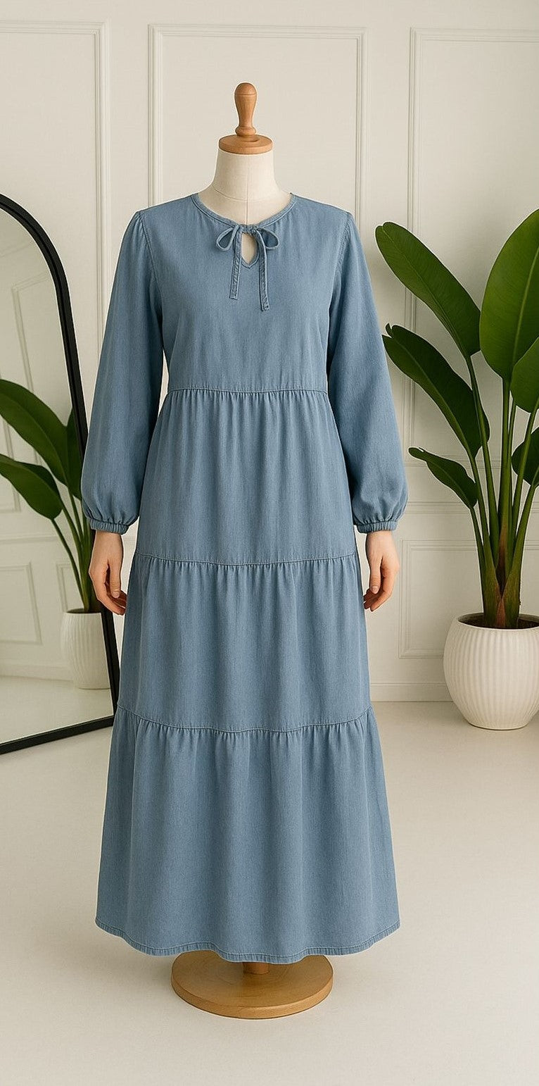 Radiant Denim Dress