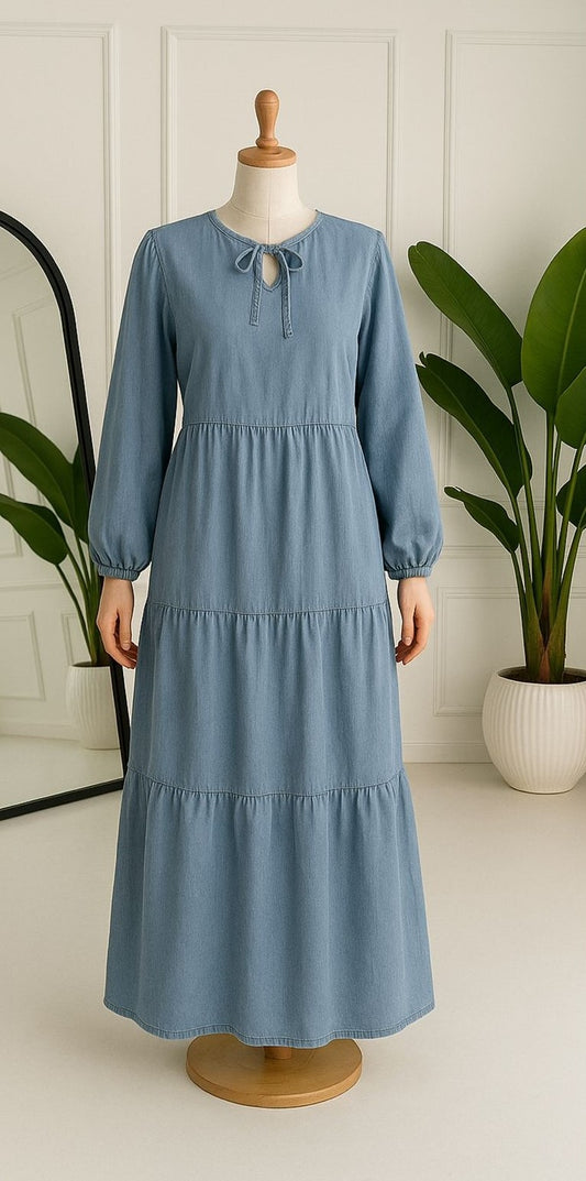 Radiant Denim Dress