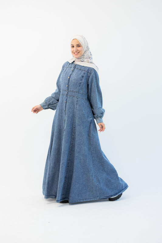 Rima Jeans Dress